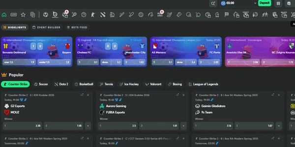 Comprehensive Sports & Esports Betting