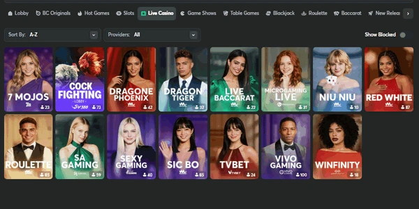 Immersive Live Dealer Casino